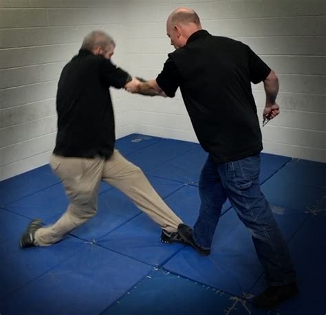 Digital Training Videos — Martial Blade Concepts